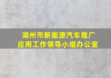 湖州市新能源汽车推广应用工作领导小组办公室