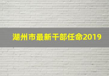 湖州市最新干部任命2019