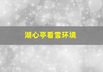 湖心亭看雪环境