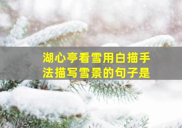 湖心亭看雪用白描手法描写雪景的句子是