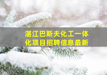 湛江巴斯夫化工一体化项目招聘信息最新