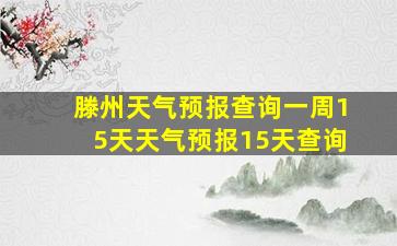 滕州天气预报查询一周15天天气预报15天查询