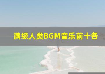 满级人类BGM音乐前十各