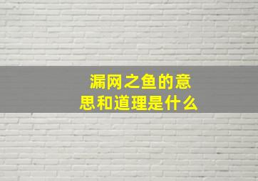 漏网之鱼的意思和道理是什么