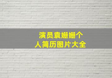 演员袁姗姗个人简历图片大全