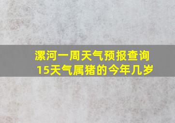 漯河一周天气预报查询15天气属猪的今年几岁