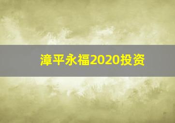 漳平永福2020投资