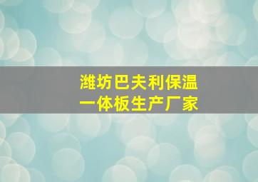 潍坊巴夫利保温一体板生产厂家