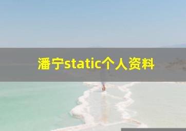 潘宁static个人资料