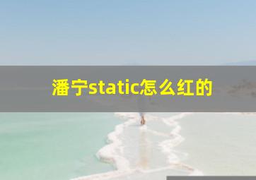 潘宁static怎么红的