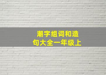 潮字组词和造句大全一年级上