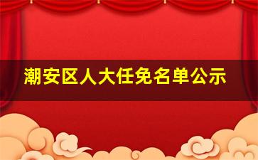 潮安区人大任免名单公示