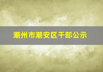 潮州市潮安区干部公示