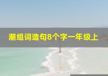 潮组词造句8个字一年级上