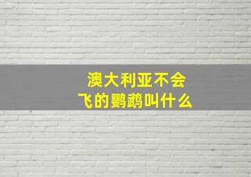 澳大利亚不会飞的鹦鹉叫什么