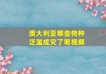 澳大利亚哪些物种泛滥成灾了呢视频