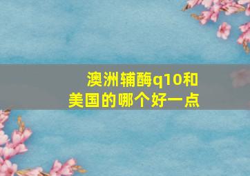 澳洲辅酶q10和美国的哪个好一点