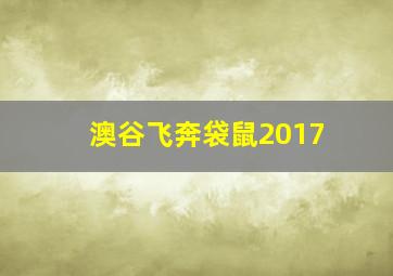 澳谷飞奔袋鼠2017