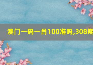 澳门一码一肖100准吗,308期