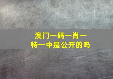 澳门一码一肖一特一中是公开的吗