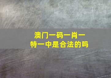 澳门一码一肖一特一中是合法的吗