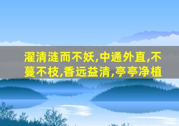 濯清涟而不妖,中通外直,不蔓不枝,香远益清,亭亭净植