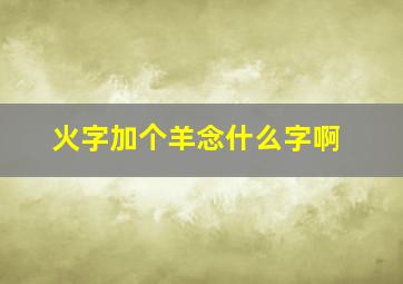 火字加个羊念什么字啊