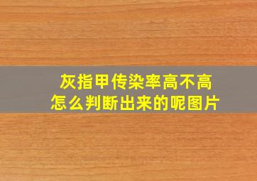 灰指甲传染率高不高怎么判断出来的呢图片