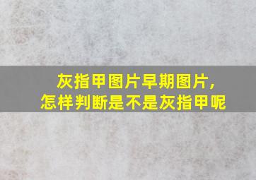 灰指甲图片早期图片,怎样判断是不是灰指甲呢