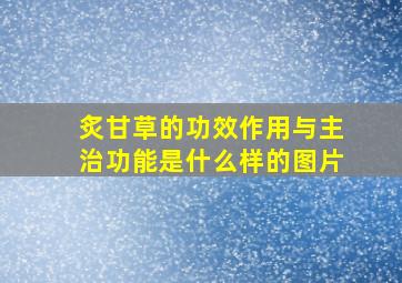 炙甘草的功效作用与主治功能是什么样的图片