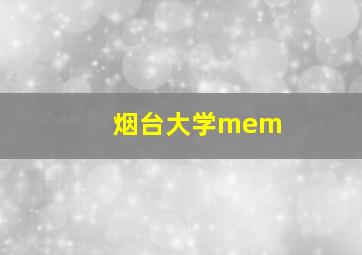 烟台大学mem