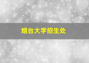 烟台大学招生处