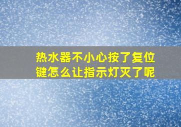 热水器不小心按了复位键怎么让指示灯灭了呢