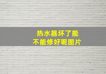 热水器坏了能不能修好呢图片