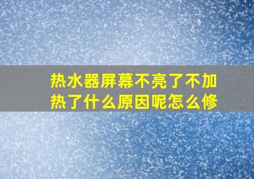 热水器屏幕不亮了不加热了什么原因呢怎么修