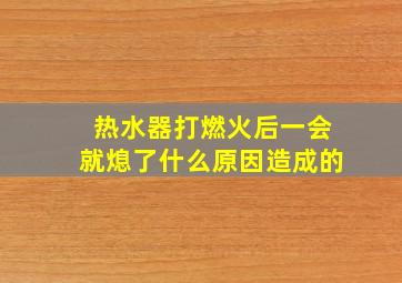 热水器打燃火后一会就熄了什么原因造成的