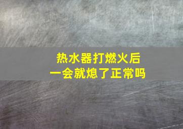 热水器打燃火后一会就熄了正常吗