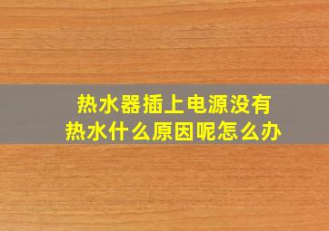 热水器插上电源没有热水什么原因呢怎么办