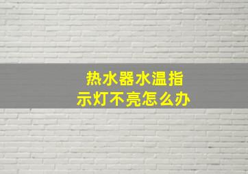 热水器水温指示灯不亮怎么办