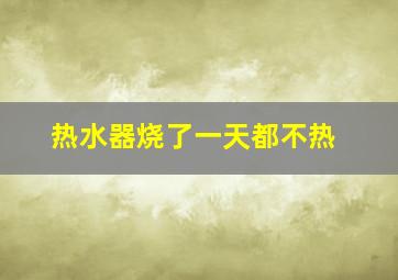 热水器烧了一天都不热