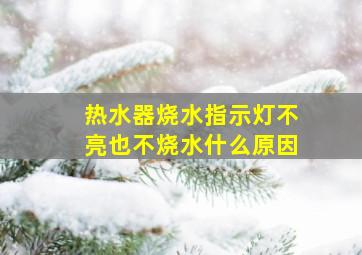 热水器烧水指示灯不亮也不烧水什么原因