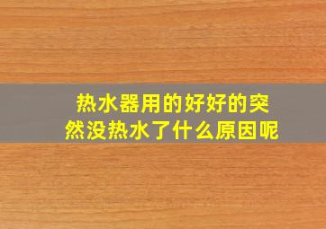 热水器用的好好的突然没热水了什么原因呢