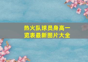 热火队球员身高一览表最新图片大全