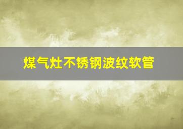 煤气灶不锈钢波纹软管