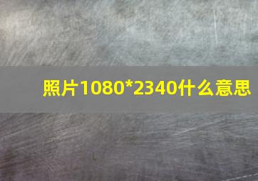 照片1080*2340什么意思