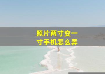 照片两寸变一寸手机怎么弄