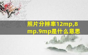 照片分辨率12mp,8mp.9mp是什么意思