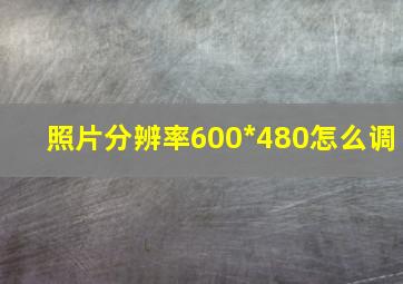 照片分辨率600*480怎么调