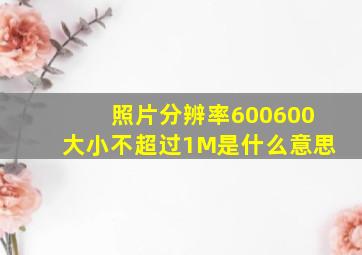 照片分辨率600600大小不超过1M是什么意思