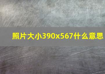 照片大小390x567什么意思